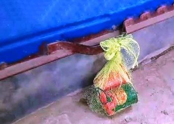 গাংনীতে দুটি বোমা সদৃশ্য বস্তু উদ্ধার