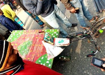 ঝিনাইদহে বাসের ধাক্কায় ভ্যানচালক নিহত