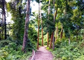 লাঠিটিলায় সাফারি পার্ক নির্মাণের সিদ্ধান্ত বাতিল