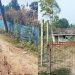যুবলীগ নেতার কবলে থাকা সরকারি রাস্তা উদ্ধার