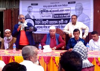 আপনাদের আনন্দ বেদনার অংশীদার ছিলাম: মেহেদী রুমী