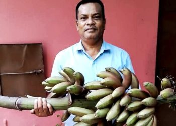 অগ্নিশ্বর কলার সঙ্গে সাথি ফসল চাষে সফল মুনির