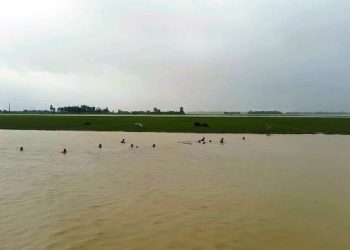 অষ্টগ্রামে জলাবদ্ধতায় ৬ হাজার একর বোরো চাষ হুমকিতে 